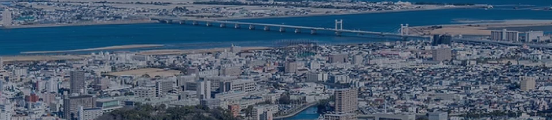徳島の街並み